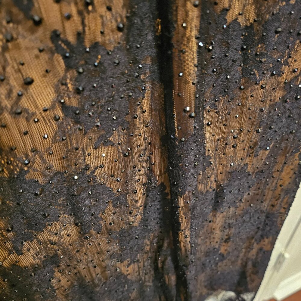 Embellished Black Lace Dress - Picture 13 of 13